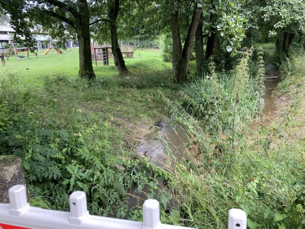 Neben dem Spielplatz am Badehaus können Kinder am Bach nahe dem künftigen Mehrgenerationenpark spielen. Die Brücke muss noch mit einem Geländer versehen werden. - © Cordula Gröne