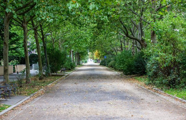 Vielerorts in Lippe stürzten am Montag Bäume auf die Straße. - © Symbolbild: Pixabay