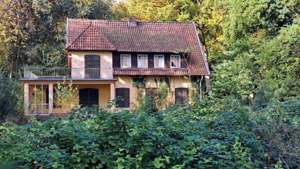 Mittlerweile wuchert es gewaltig in der Yorkstraße. Die rund 5.000 Quadratmeter große Fläche um die alte Wirus-Villa ist verwaist. - © Philipp Kersten