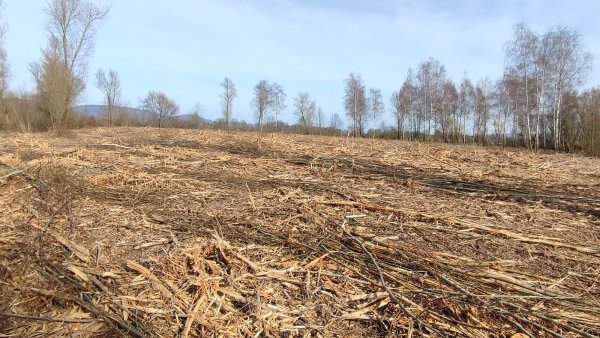 Der Campingpark-Betreiber will am Stemmer See zusätzliche Wohnmobilstellplätze errichten und hat dafür rund drei Hektar Fläche freischneiden lassen. Der BUND kritisiert das Vorgehen. - © Gemeinde Kalletal