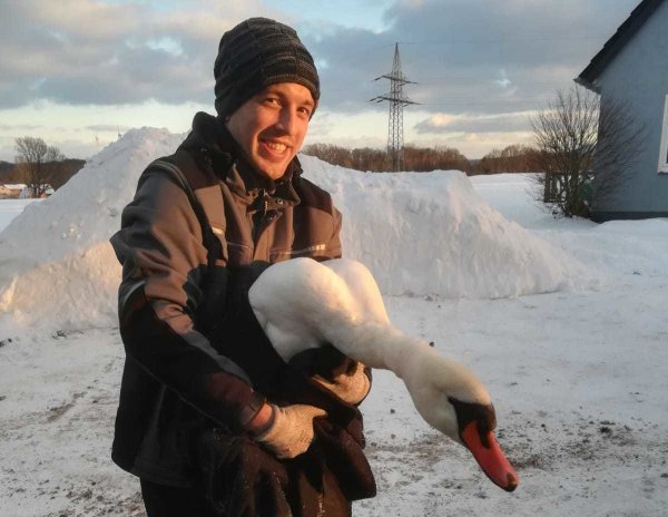 Sven Hartwig von der Lagenser Feuerwehr mit dem geretteten Schwan. - © Feuerwehr Lage