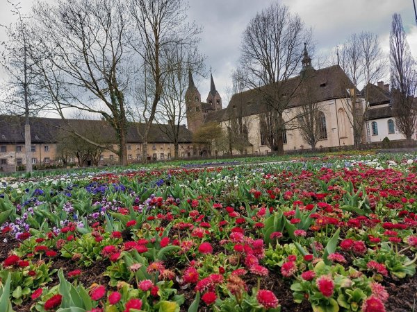 Der Klostergarten soll genauso aufwändig bepflanzt und gestaltet bleiben wie zur Landesgartenschau. - © Archivfoto: Michaela Weiße