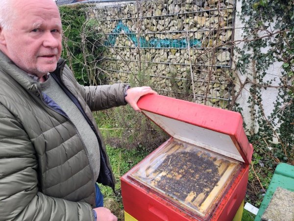 Jürgen Reitemeier zeigt eines seiner Bienenvölker. Je nach Jahreszeit kann die Population auf über 40.000 Bienen steigen. - © Raffael Giebel