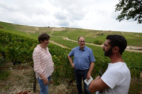 Andrea und Pierre-Louis Plat in den Weinbergen an der Loire, wo Pierre-Louis aufgewachsen ist. Das Bild stammt aus dem Jahr 2018. Demnächst reisen die Weinhändler wieder nach Frankreich. Den Kontakt zu den Winzern zu halten, sei wichtig. - © Archivbild: Karl-Heinz Krull