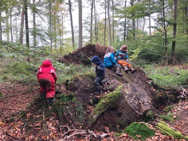 Im Wald gibt es immer etwas zu entdecken. Die meisten Kinder lieben Ausflüge in die Natur, und zwar bei jedem Wetter. - © Kita Waldfrüchtchen
