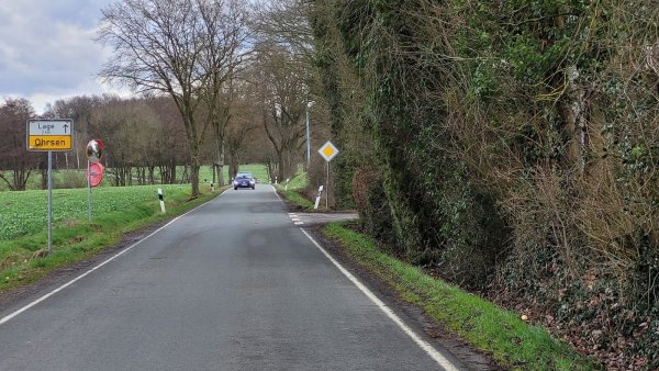 Die Ohrser Straße hat die Lagenser Politik schon 2020 beschäftigt, jetzt gibt es wieder einen Bürgerantrag. Diesmal geht es um das Stück außerhalb der geschlossenen Ortschaft, auf dem Tempo 100 zulässig ist. Das soll sich ändern. - © Astrid Sewing