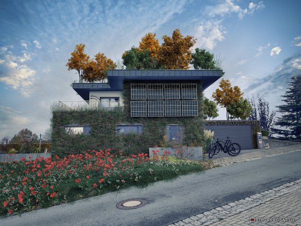 So oder so ähnlich könnten viele lippische Wohnhäuser der Zukunft aussehen. Mit Wildwuchs statt Wembleyrasen auf dem Grundstück. Das hilft den Insekten und wirkt temperaturausgleichend. Solaranlage und Ladesäule für Elektrofahrzeuge dürfen nicht fehlen. - © Montage: Bildakrobat/Merten Kunisch