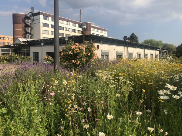 Das Yoga Vidya in Bad Meinberg plant in Coronazeiten ein Zeltlager. Die Bürger reagieren überwiegend mit Unverständnis. Foto: Silke Buhrmester - © Silke Buhrmester