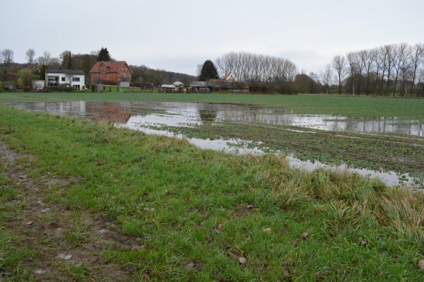 Schwere landwirtschaftliche Maschinen - im Bild ein Rübenernter - verdichten durch ihr Gewicht den Boden, so dass Wasser nicht mehr so gut versickern kann, kritisiert Willi Hennebrüder. - © BUND Lemgo