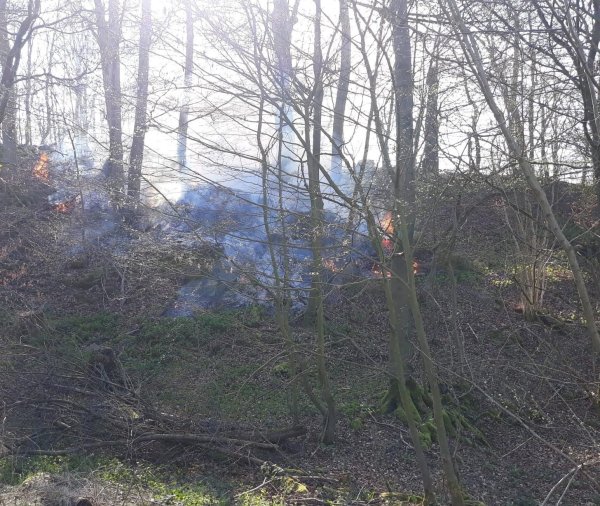 Durch das schnelle Eingreifen der Einsatzkräfte konnte eine Ausbreitung der Flammen verhindert werden. - © Feuerwehr Lügde