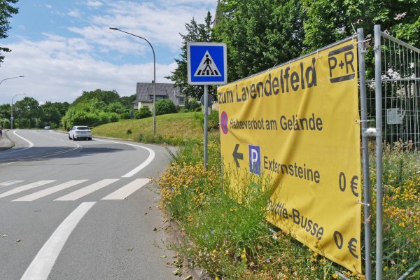 Auch in Horn weisen große Banner auf den Shuttlebusverkehr zum Lavendelfeld hin. - © Jost Wolf