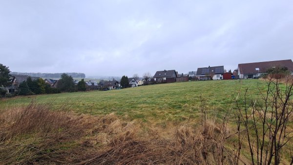 Auf diesem Grundstück am Hellweg in Humfeld soll ein Neubaugebiet entstehen. - © Nadine Uphoff