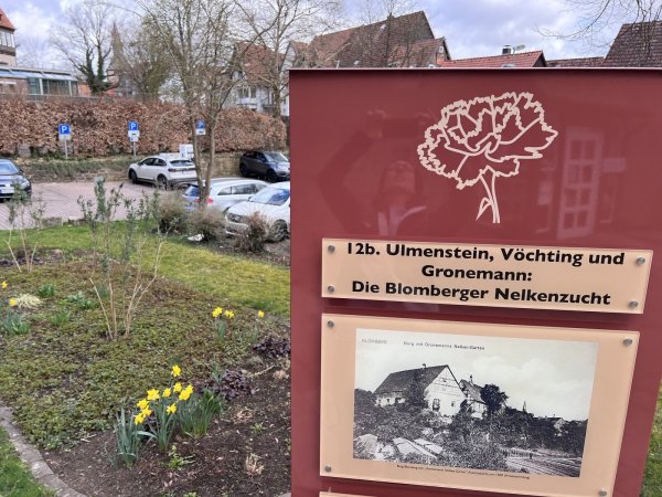 Neue Kampagne will das blumige Erbe Blomberg wieder in den Fokus rücken. - © Seda Hagemann