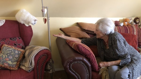 Heidemarie Helmis und Katze "Ginny" teilen sich seit kurzem die Wohnung. - © Sven Kienscherf