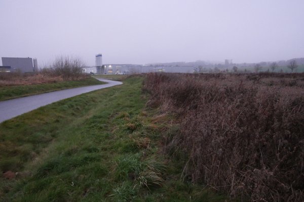 Die Erweiterungsfläche des Industrieparks Lippe mit den Firmen Profectus Films (ganz links) und Velosit im Hintergrund, die dort auf dem bisherigen Gelände ansässig sind. - © Jost Wolf
