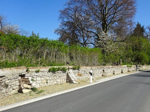 An der Bruchsteinmauer an der Dorfstraße in Greste sind deutliche Schäden zu erkennen, sie wird nun saniert. - © Michael Berg