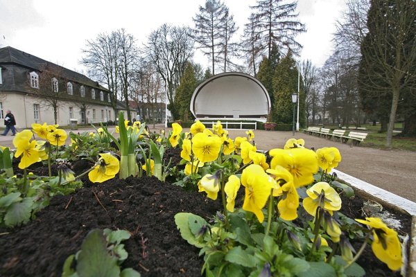 Der Kurpark kommt in städtische Hand. - © Cordula Gröne