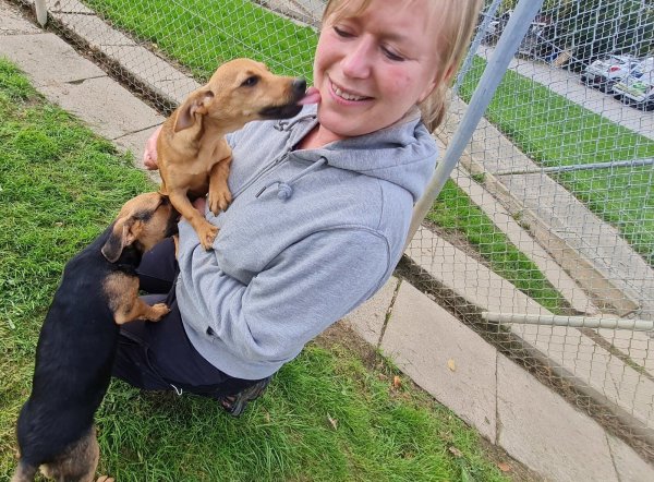 Küsschen auf Hundeart: Bisher haben die Welpen in der Detmolder Quarantäne kaum etwas kennengelernt. Erst seit vergangenem Donnerstag dürfen sie raus, und Tierheimleiterin Anneke Glöde kann sich des Überschwangs der kleinen Racker kaum erwehren. - © Marianne Schwarzer