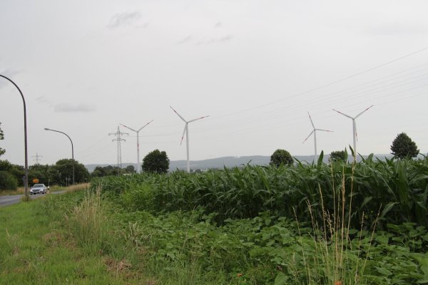 Vier Windräder drehen sich bereits in der Nähe von Hardissen, zwei weitere hatte der Rat im März durchgewunken. Der Investor ist bereit, diese an einen Betreiber zu verkaufen. - © Archivfoto: Nadine Uphoff
