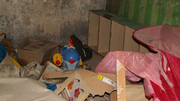 In der vermüllten Wohnung fand der Vermieter zurückgelassene Haustiere (Symbolfoto). - © Symbolfoto dpa