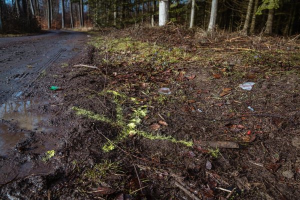 Die Polizei hatte die Unfallstelle an einem Waldweg in Kalletal damals markiert. - © FreitagTV/Stock