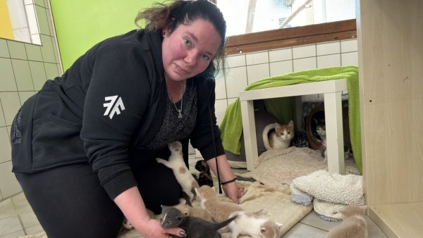Sabrina Fiebig mit den Kitten, die Ende April beschlagnahmt worden sind. Insgesamt 28 Katzen lebten in einer Mietwohnung im Kreis Lippe. - © Sven Kienscherf