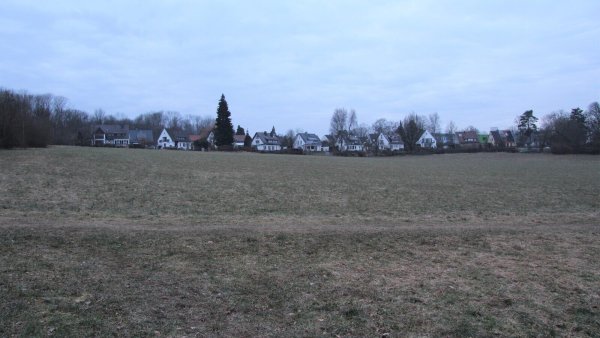 Dies ist ein Teil der Fläche, auf der der Bürgerwald entstehen soll. Im Vordergrund verläuft der bestehende Pattweg, der vom Johannettental über die Wiese hoch zum Rundweg um das Freilichtmuseum führt. - © Jana Beckmann