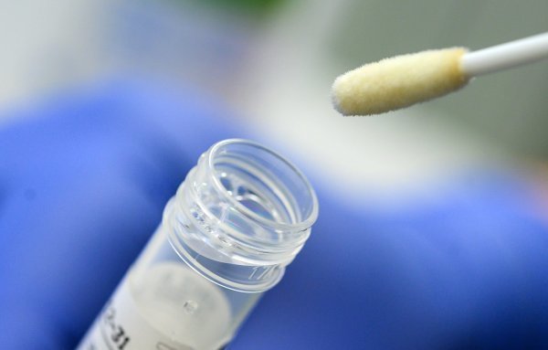 Ein Abstrich für das Testverfahren auf das Coronavirus. - © Sebastian Gollnow/dpa