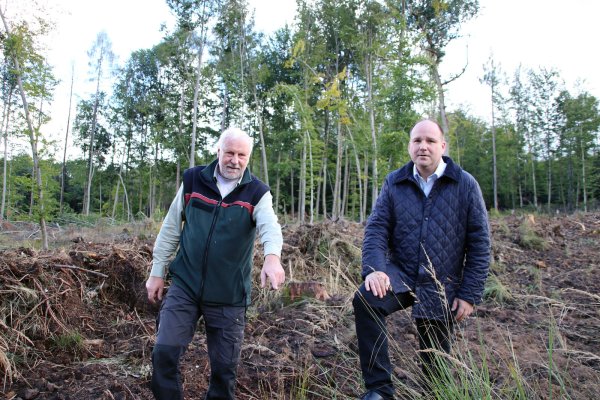 Pflanzaktion im Blomberger Stadtwald Lokale Nachrichten aus Blomberg