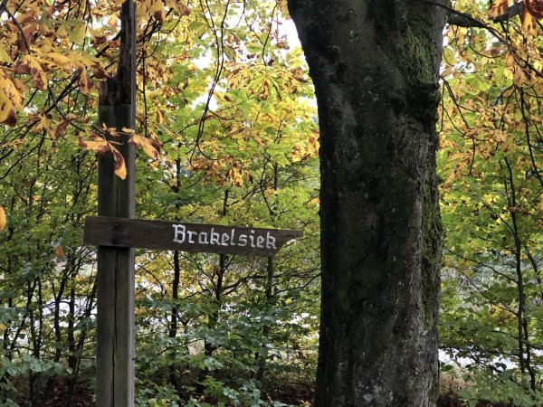 Marode Holzschilder auf dem Mörth – lediglich Brakelsiek ist noch ausgeschildert. - © Silke Buhrmester
