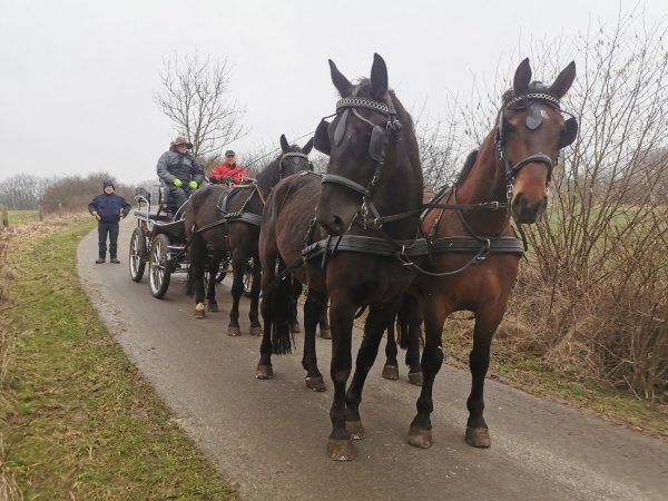 Der Vierspänner unterwegs mit der Besatzung (von links) Matthias Rebentisch, Andreas Czymoch und Peter Krüger. Nicht im Bild ist Gespannbesitzer Reinhard Merten. - © Sylvia Frevert