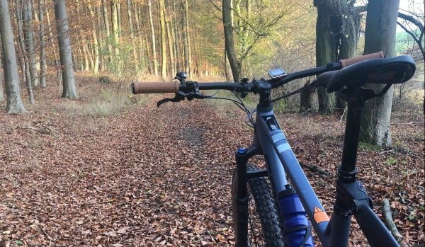 Erlebnis Wald: Im Herbst macht eine Mountainbike-Tour richtig Spaß – die Fahrer erleben Natur pur, bunte Blätter und vielseitiges Lichtspiel. Das macht den Kopf frei. - © Silke Buhrmester