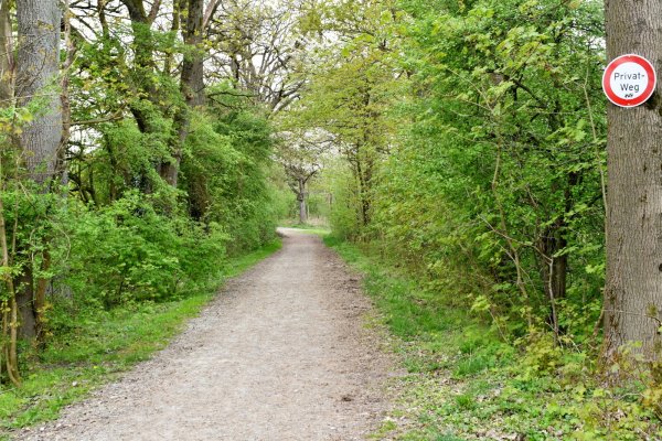 Die Sperre ist weg, der Wanderweg in der Verlängerung der Hanegge kann wieder benutzt werden. - © Gunter Held