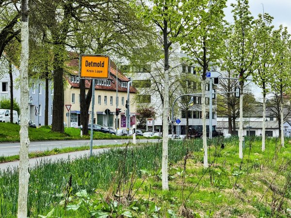 Geht es nach dem Hitze-Check der Deutschen Umwelthilfe, dann liegt Detmold mit der Zahl an Grünflächen im grünen Bereich. Vor allem Bäume sorgen im Sommer für einen hohen Kühleffekt in der Stadt. - © Raphael Bartling