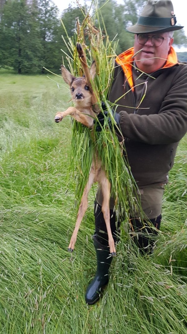 Jan Wisomiersky trägt ein Kitz aus einer lippischen Wiese. - © CDU-Kreistagsfraktion Lippe