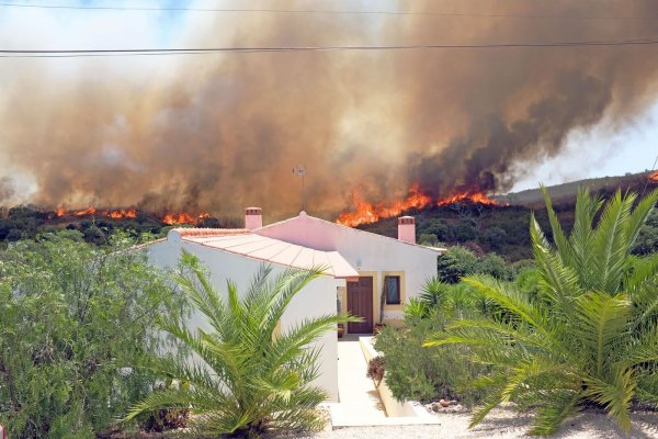 Huge forest fire threatens homes in Portugal - © Bildrechte: VBZ