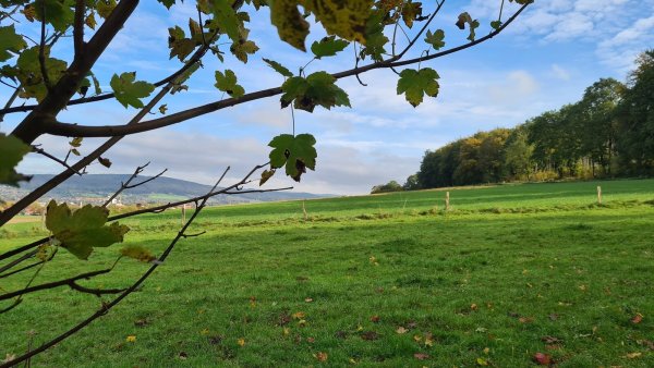 Der Biesterberg in Lemgo von Westen in Richtung Osten fotografiert. - © Nadine Uphoff