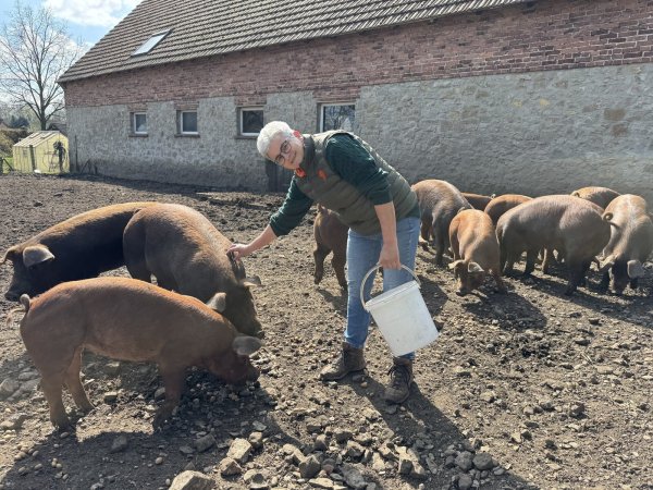 Ute Hameier liebt die Arbeit an der frischen Luft und mit den Hof-Schweinen. - © Sandra Castrup