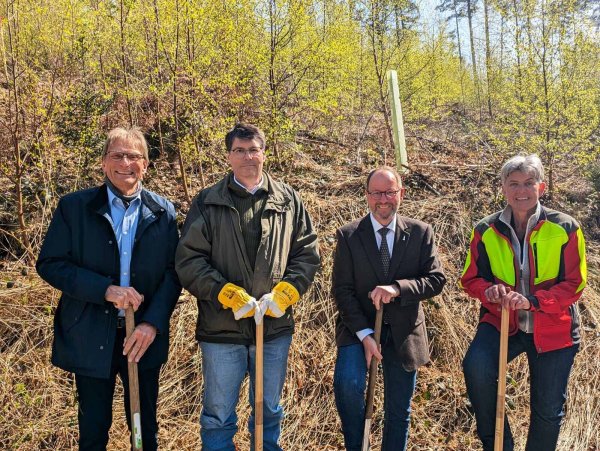 Über die gelungene Kooperation freuen sich (von links) Jörg Karlikowski (Geschäftsführer Stadtwerke Detmold), Stephan Grigat (Vorsitzender des Aufsichtsrates der Stadtwerke Detmold), Jörg Düning-Gast (Verbandsvorsteher), Susanne Hoffmann (komm. Leiterin Forstabteilung Landesverband Lippe) - © Landesverband Lippe