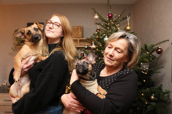 Piro (links) hat bei Sarah und ihrer Mutter Simone Bailis ein neues Zuhause gefunden. Seit einer Woche ist auch Welpe Yuki dazugekommen. Die zwei Vierbeiner verstehen sich gut. - © Janet König