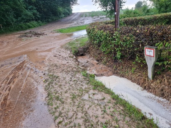 Starkregenereignisse wie im August dieses Jahres werden sich häufen. Deswegen verlangen die Grünen ein Konzept, um besser gegen Hochwasser gewappnet zu sein. - © Marianne Schwarzer(LZ)