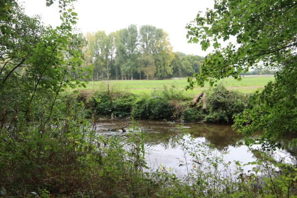 Ein Naturlehrpfad am Heipker See ist für die SPD aus Gründen des Naturschutzes kein Thema. Die Parteimitglieder vermissen außerdem einen schriftlichen Antrag. Foto: Birgit Guhlke - © Birgit Guhlke