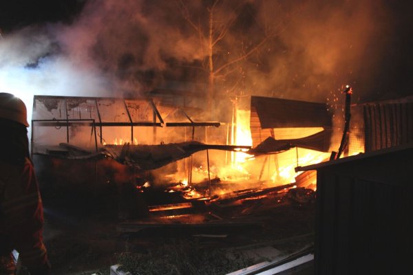 Eine Vogelvoliere sowie ein Gewächshaus wurde das Opfer der Flammen. - © Polizei Kreis Minden-Lübbecke