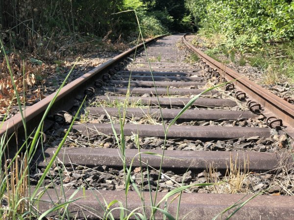 Gleise in Brake – aus Ingenieurssicht sind sie nicht abgeschrieben. - © Archivfoto: Till Brand