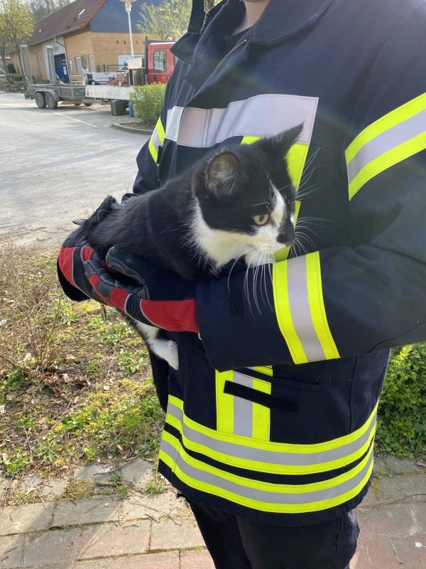 Erschöpft: Ein Feuerwehrmann hält die gerettete Katze im Arm. - © Feuerwehr Dörentrup