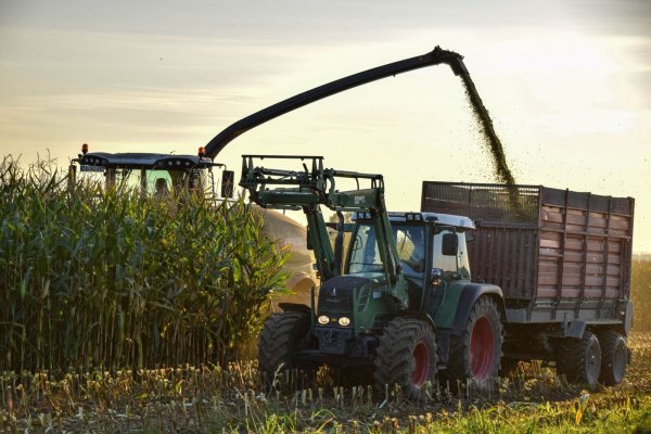 Die nasse Witterung im Herbst verzögerte und erschwerte die Herbstbestellung, sagt der Westfälisch-Lippische Landwirtschaftsverband. - © WLV