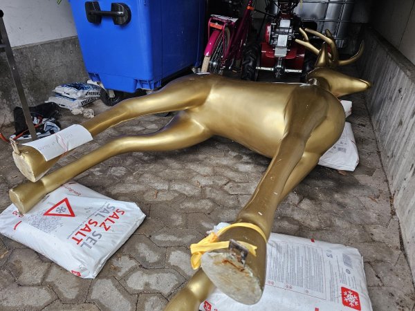 Das goldene Rentier wurde erst in einer Asservatenstelle bei der Polizei aufbewahrt, jetzt steht fest: Es wird nicht mehr repariert, sondern es gibt Ersatz.. - © Astrid Sewing