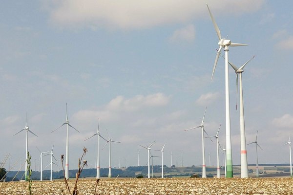 Symbolbild: Gegen die Abschaltung mehrerer Windräder ist Klage eingereicht worden.  - © Yvonne Glandien