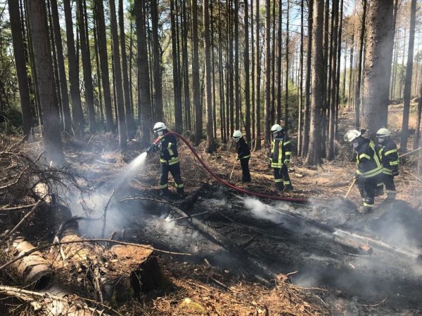 Einsatzkräfte der Barntruper Feuerwehr löschen brennenden Waldboden im „Krähenholz".  - © Feuerwehr Barntrup