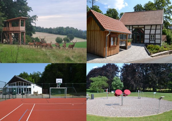 Von zahlreichen Leader-Projekten können die Menschen in Nordlippe profitieren. Dazu zählen die Aussichtsplattform am Sikawildgehege in Schwelentrup, das Tempelhaus in Talle, der Generationentreff am Tennishaus in Bösingfeld oder die Fitnessanlage in der Faulen Wiese in Barntrup (vonh oben links) - © Fotos: R. Diekmeier, LAG Nordlippe.